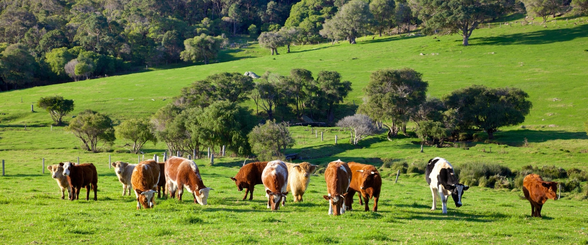 Adelaide Hills Real Estate Inwood Real Estate Buy & Sell Your