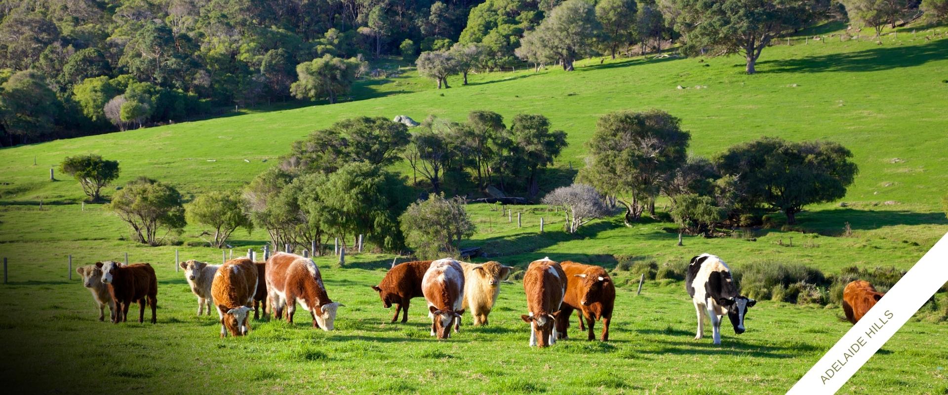 Inwood Real Estate Buy & Sell Your Country Home & Land