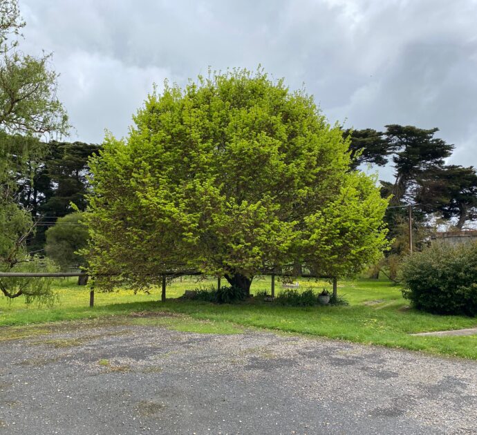930 Cromer Road, MOUNT PLEASANT, SA 5235