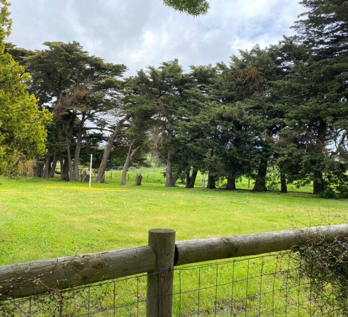 930 Cromer Road, MOUNT PLEASANT, SA 5235