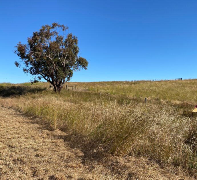 1628 Springton Road, SPRINGTON, SA 5235