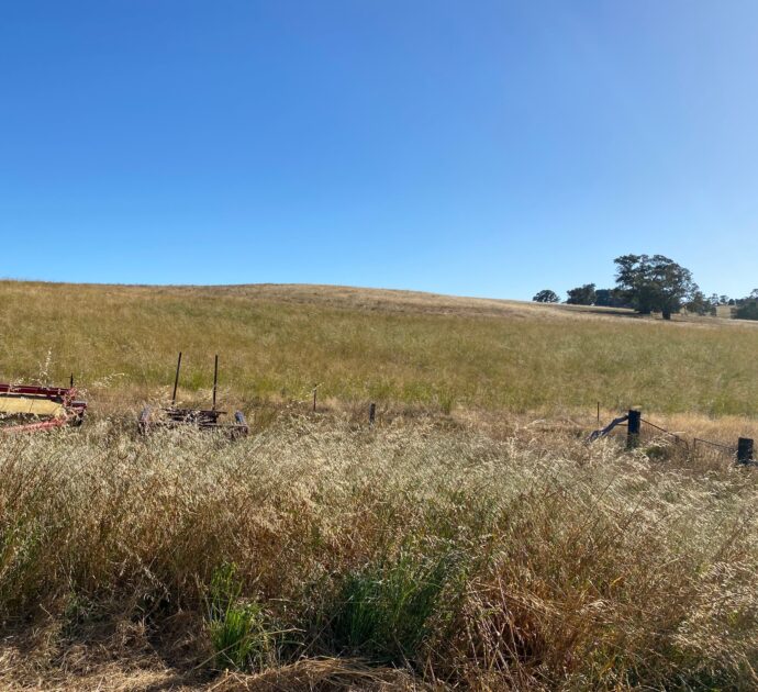 1628 Springton Road, SPRINGTON, SA 5235