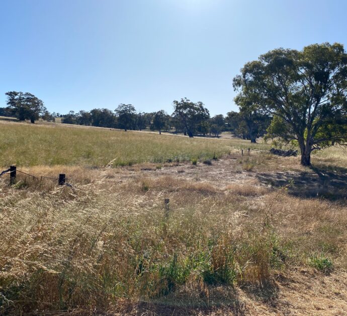 1628 Springton Road, SPRINGTON, SA 5235