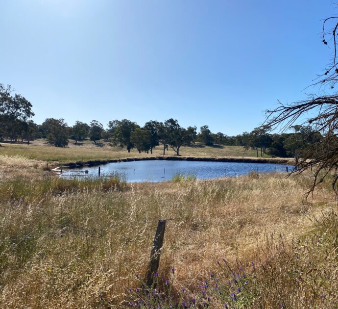 1628 Springton Road, SPRINGTON, SA 5235