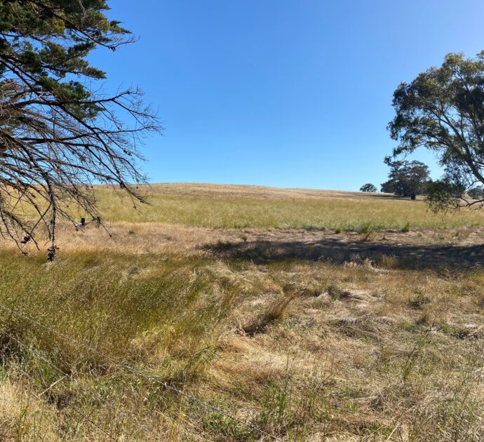 1628 Springton Road, SPRINGTON, SA 5235