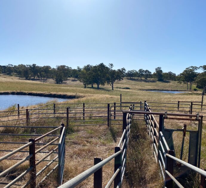 1628 Springton Road, SPRINGTON, SA 5235