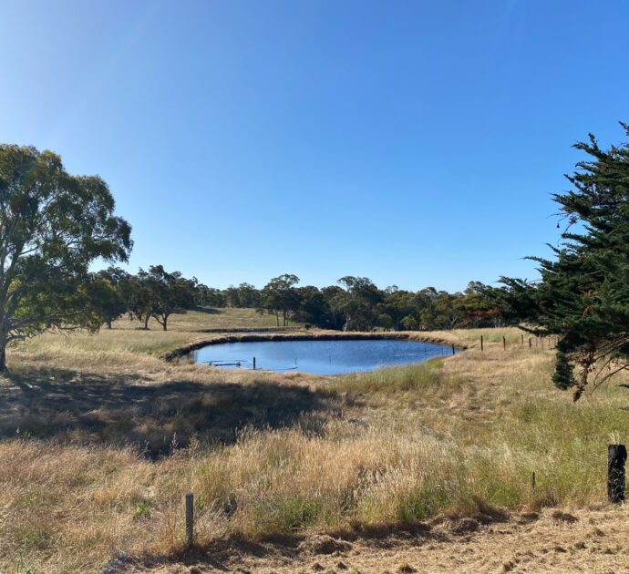 1628 Springton Road, SPRINGTON, SA 5235