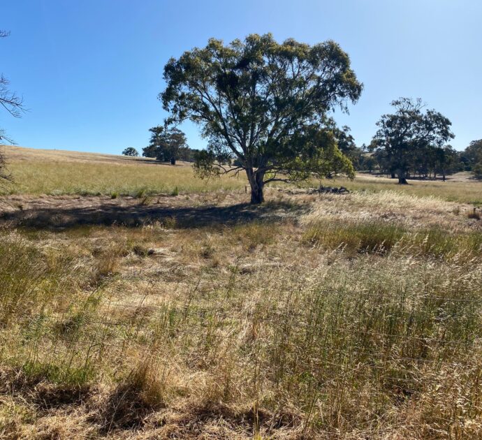 1628 Springton Road, SPRINGTON, SA 5235