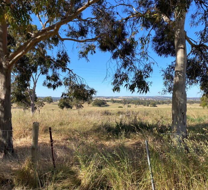 1628 Springton Road, SPRINGTON, SA 5235