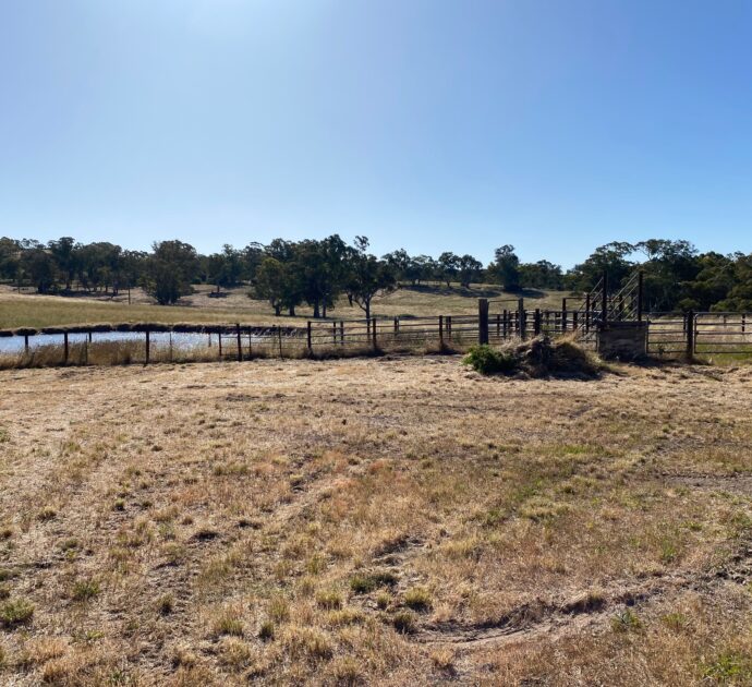 1628 Springton Road, SPRINGTON, SA 5235