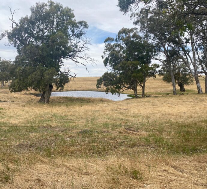 1628 Springton Road, SPRINGTON, SA 5235
