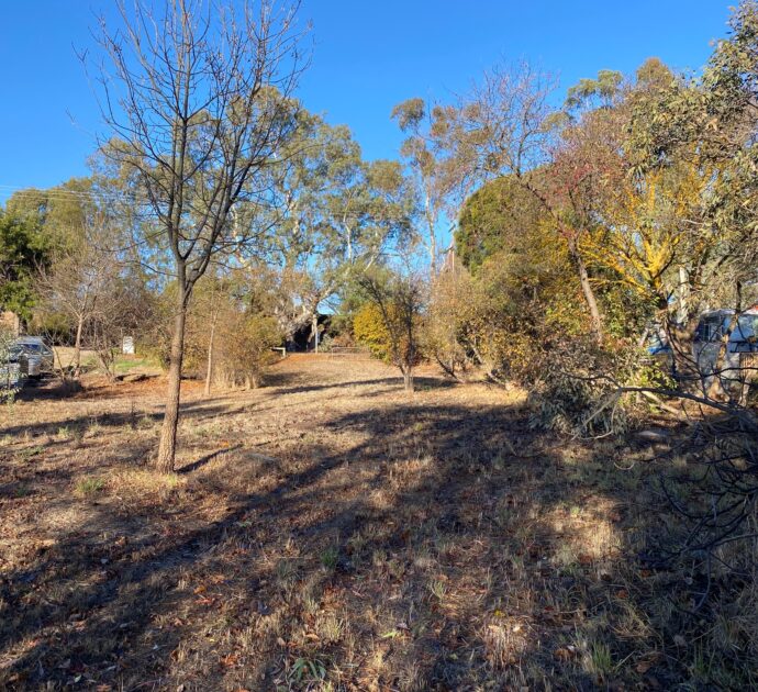 21 Daly Street, SPRINGTON, SA 5235
