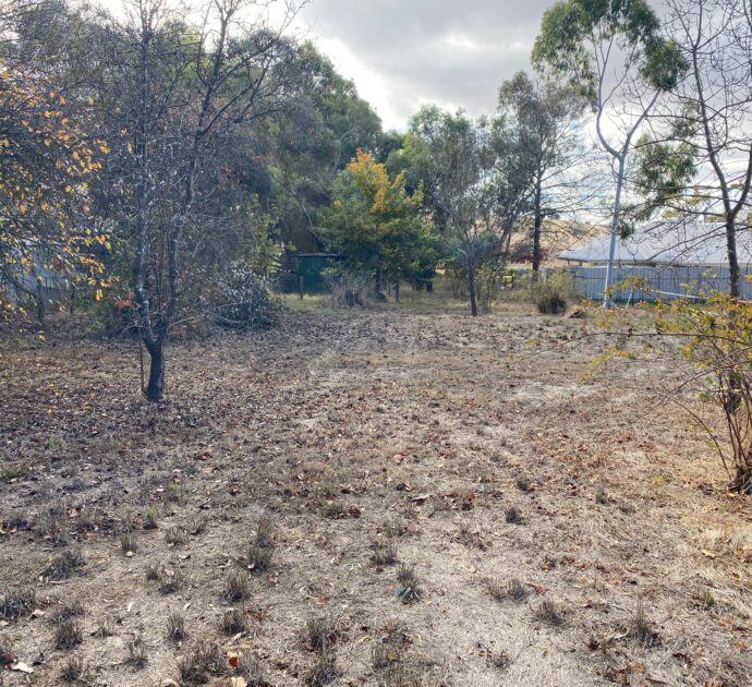 21 Daly Street, SPRINGTON, SA 5235