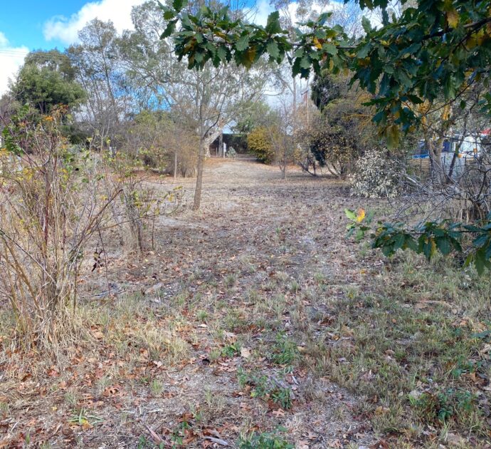 21 Daly Street, SPRINGTON, SA 5235