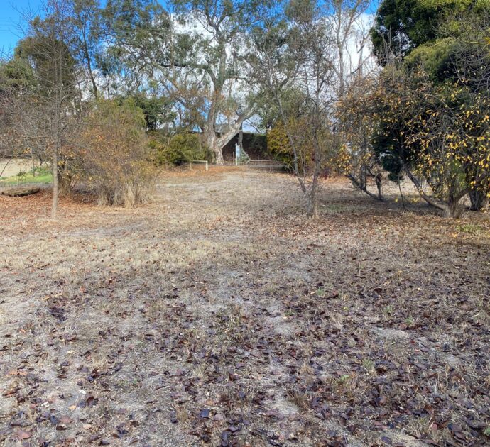 21 Daly Street, SPRINGTON, SA 5235