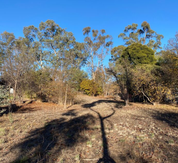21 Daly Street, SPRINGTON, SA 5235