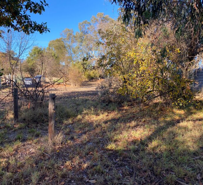 21 Daly Street, SPRINGTON, SA 5235