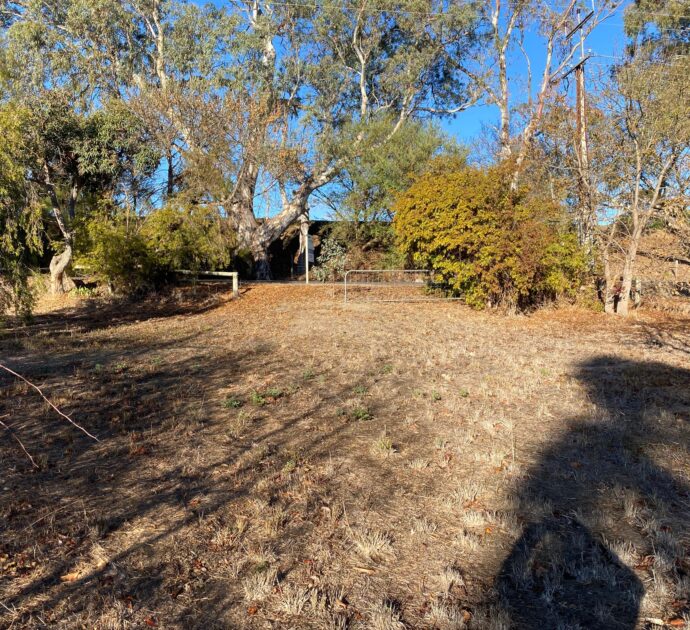 21 Daly Street, SPRINGTON, SA 5235