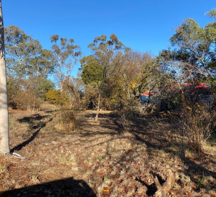 21 Daly Street, SPRINGTON, SA 5235