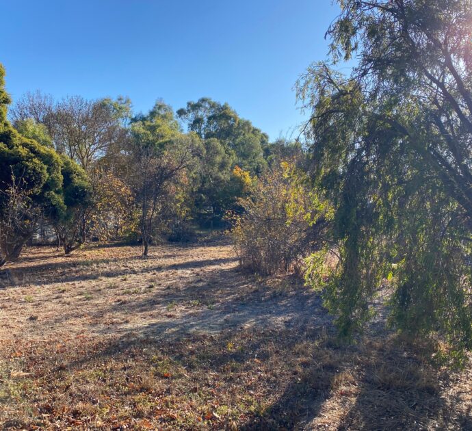 21 Daly Street, SPRINGTON, SA 5235