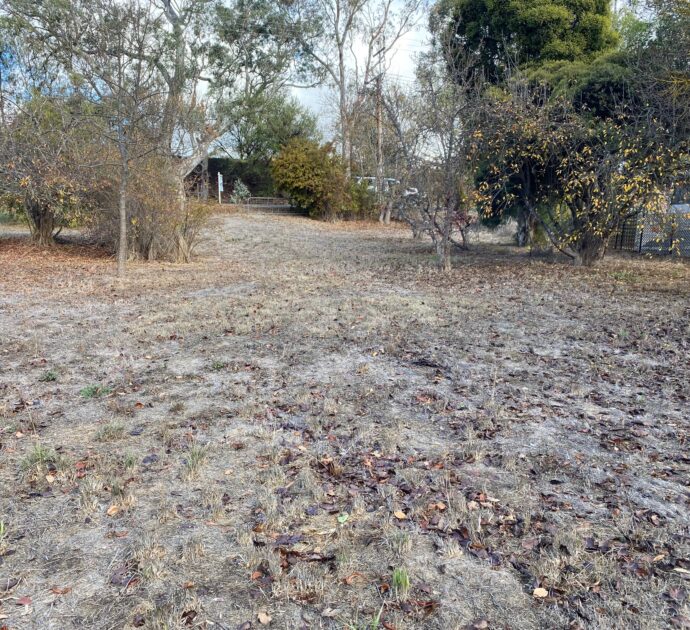 21 Daly Street, SPRINGTON, SA 5235