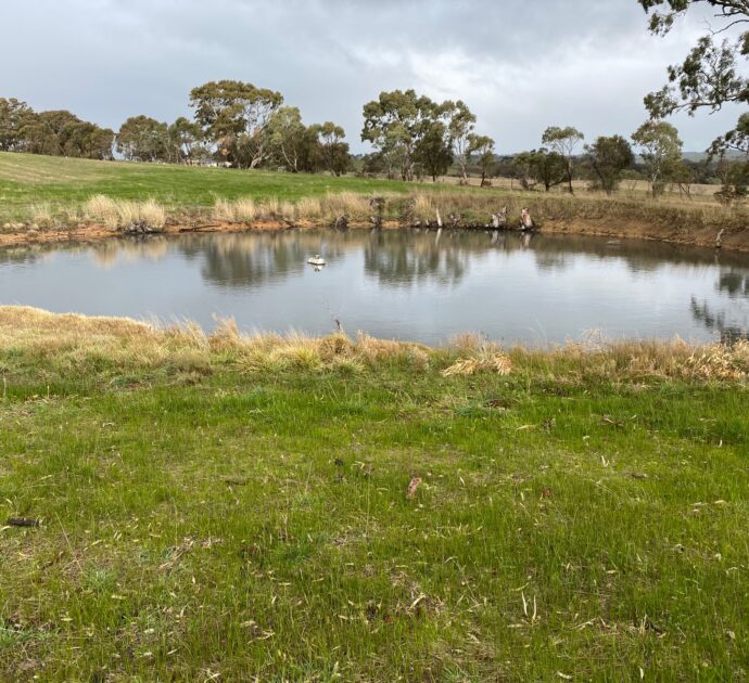 82 Koop Creek Road (Springton Hills Wines), SPRINGTON, SA 5235