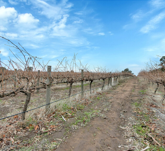 82 Koop Creek Road (Springton Hills Wines), SPRINGTON, SA 5235