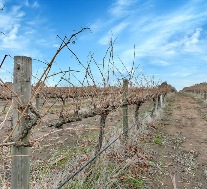 82 Koop Creek Road (Springton Hills Wines), SPRINGTON, SA 5235