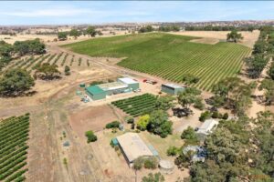 82 Koop Creek Road (Springton Hills Wines), SPRINGTON, SA 5235