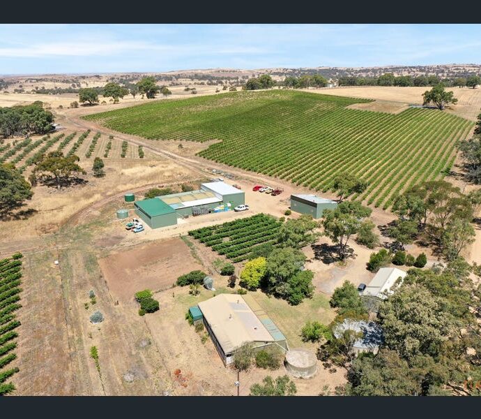 82 Koop Creek Road (Springton Hills Wines), SPRINGTON, SA 5235