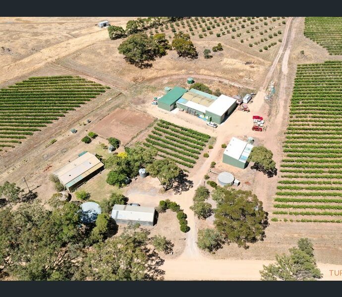 82 Koop Creek Road (Springton Hills Wines), SPRINGTON, SA 5235
